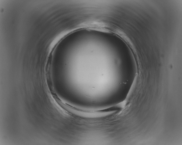 X0000068751344200605010926