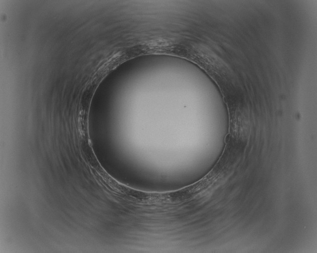 X0000068751346200605010926