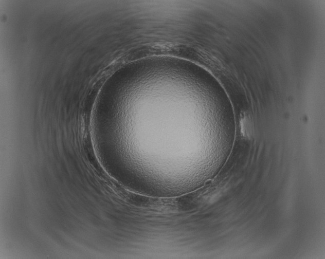 X0000068751347200605010926