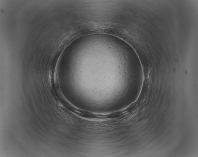 X0000068751348200605010926