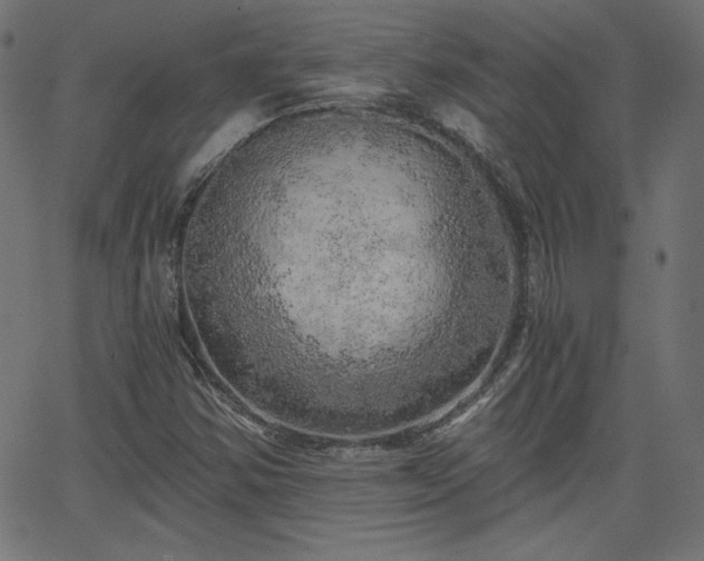 X0000068751354200605010925