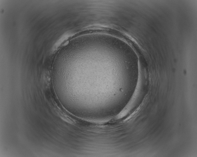 X0000068751355200605010925