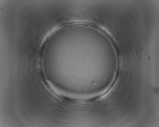 X0000068751357200605010925