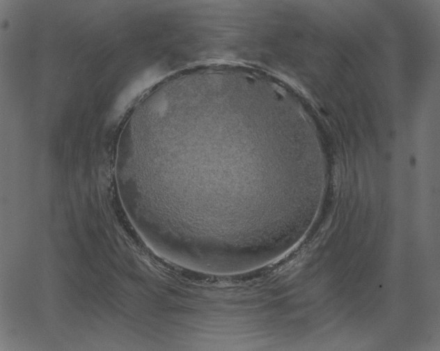 X0000068751359200605010925