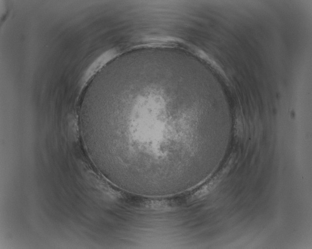X0000068751362200605010925