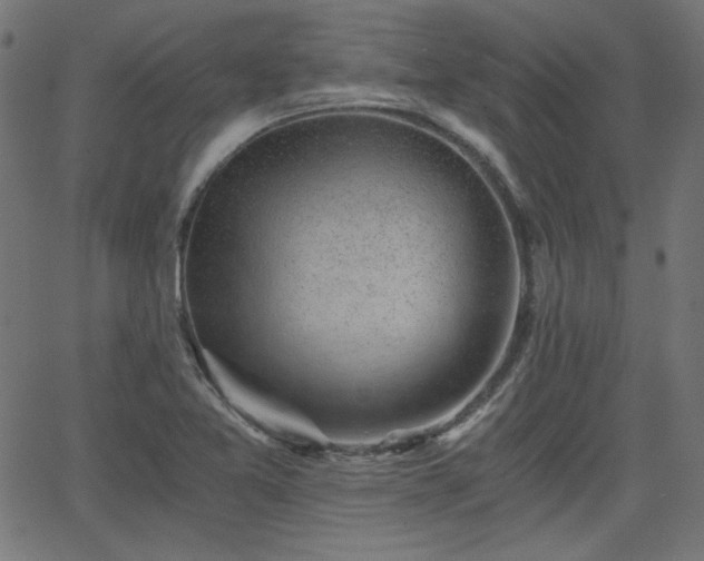 X0000068751365200605010925