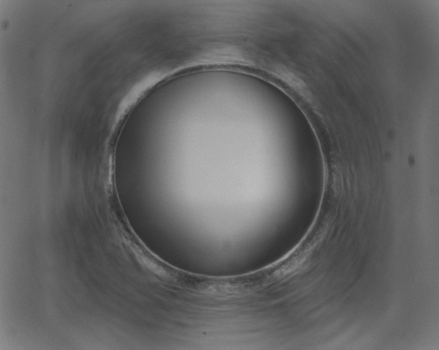 X0000068751366200605010925