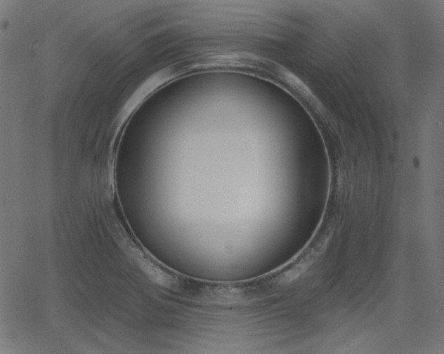 X0000068751370200605010925