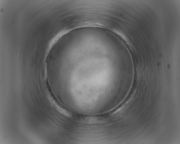 X0000068751371200605010925