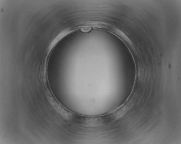 X0000068751378200605010925