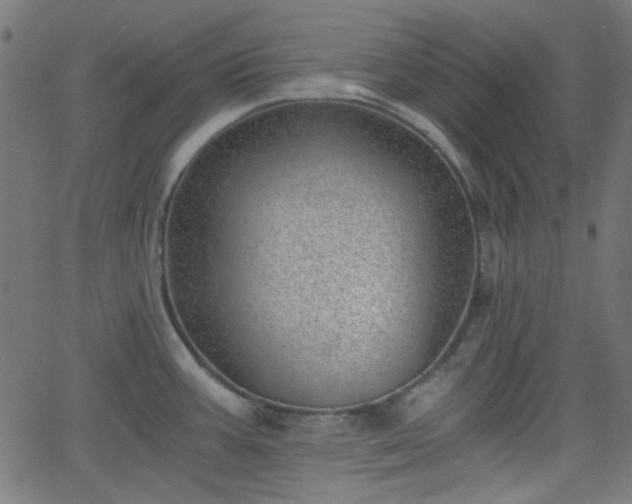 X0000068751387200605010925