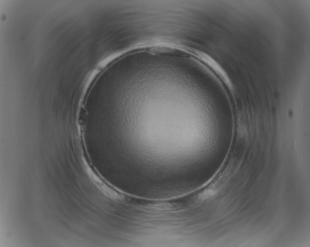 X0000068751388200605010925