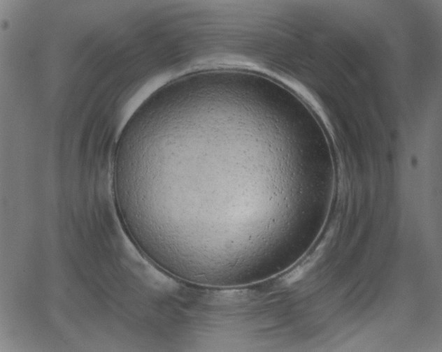 X0000068751390200605010925