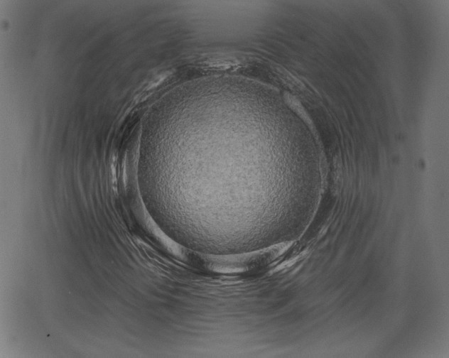 X0000068751394200605010924
