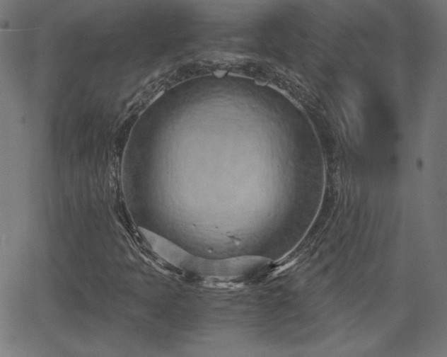 X0000068751397200605010924