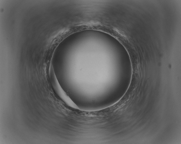 X0000068751398200605010924