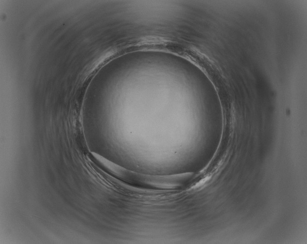 X0000068751401200605010924