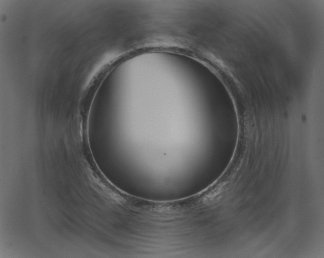 X0000068751408200605010924