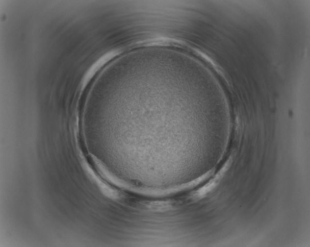 X0000068751418200605010924
