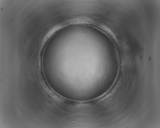 X0000068751419200605010925
