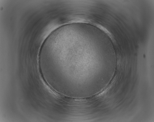 X0000068751423200605010925