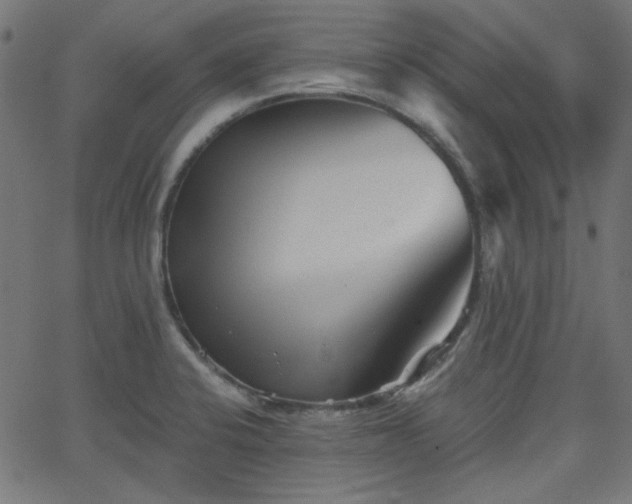 X0000068751424200605010925