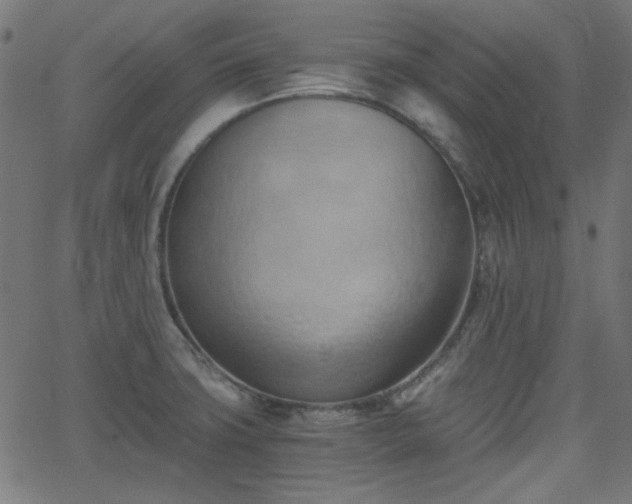 X0000068751427200605010925