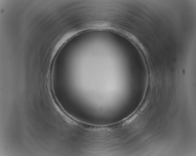 X0000068751432200605010925