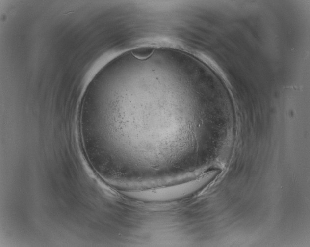 X0000068751440200605010925