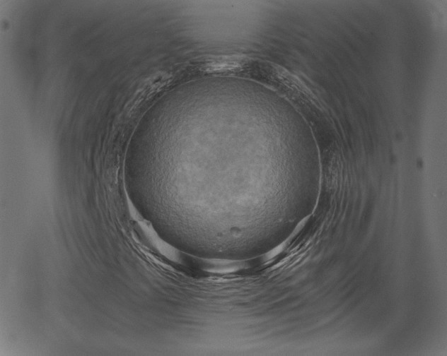 X0000068751441200605010924