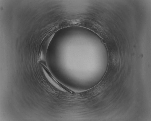 X0000068751442200605010924
