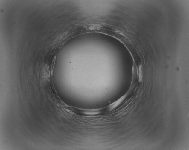 X0000068751443200605010924