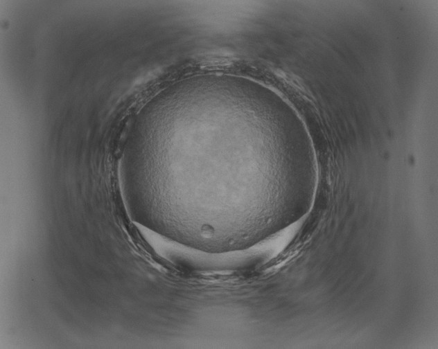 X0000068751445200605010924