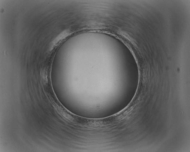 X0000068751451200605010924