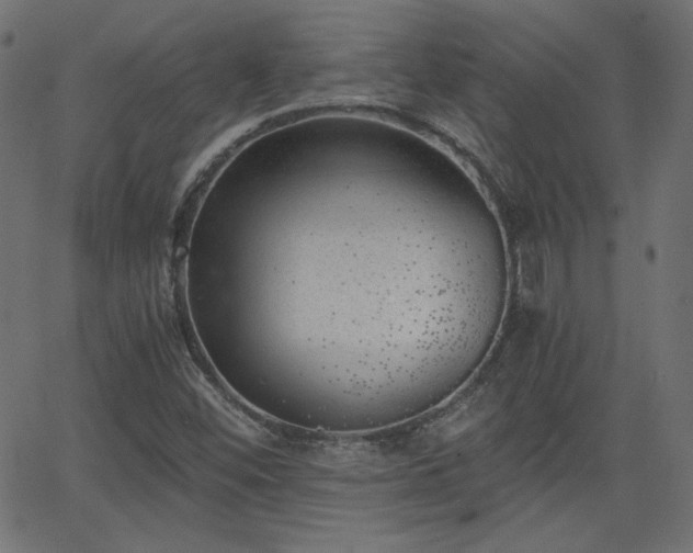X0000068751452200605010924