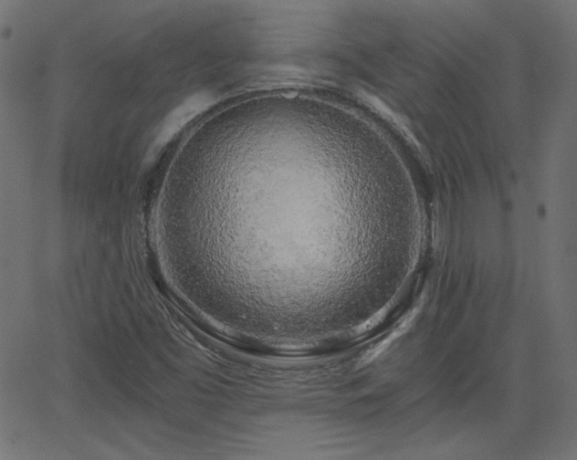 X0000068751453200605010924