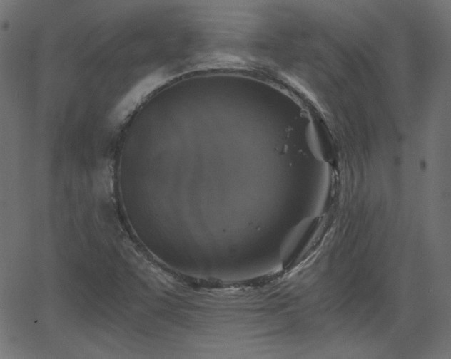 X0000068751455200605010924