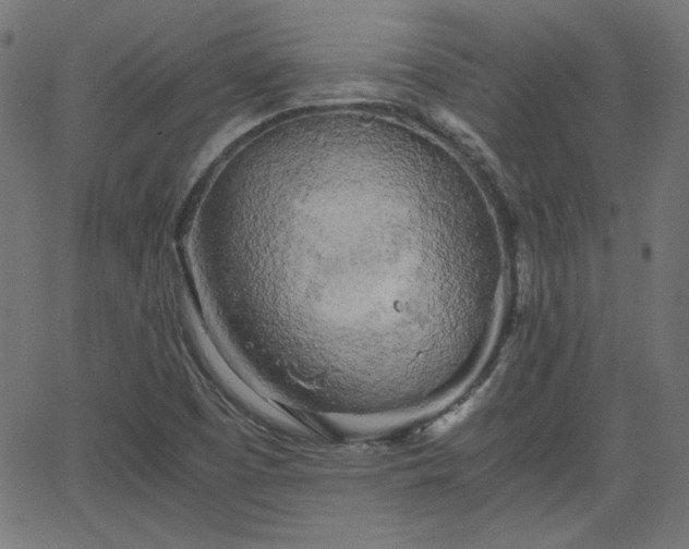 X0000068751457200605010924