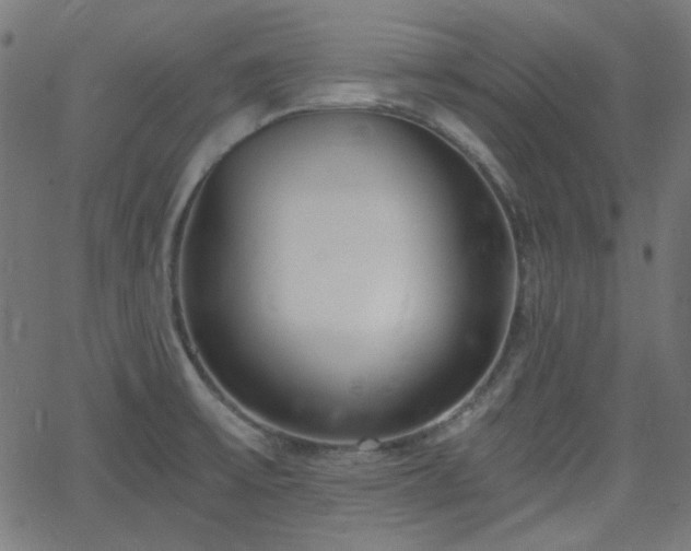 X0000068751475200605010924