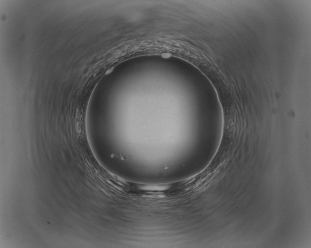 X0000068751490200605010922