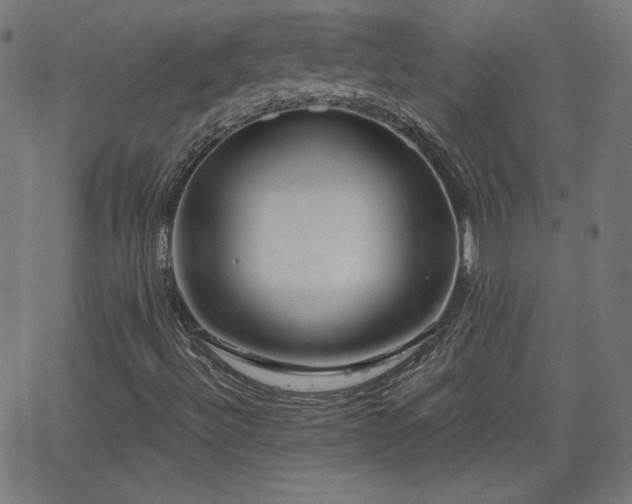 X0000068751492200605010922