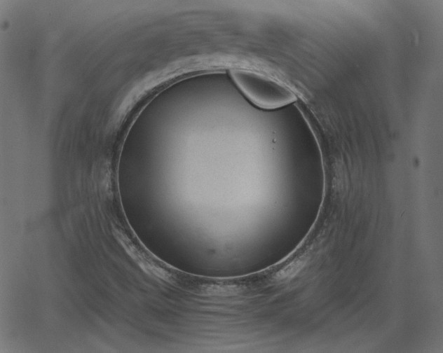X0000068751499200605010923