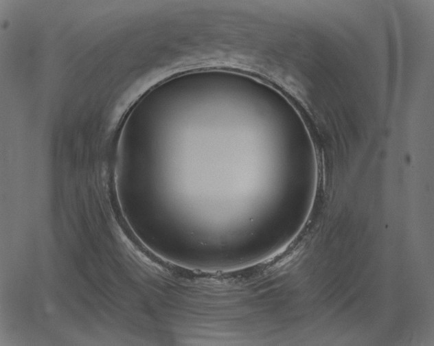 X0000068751500200605010923