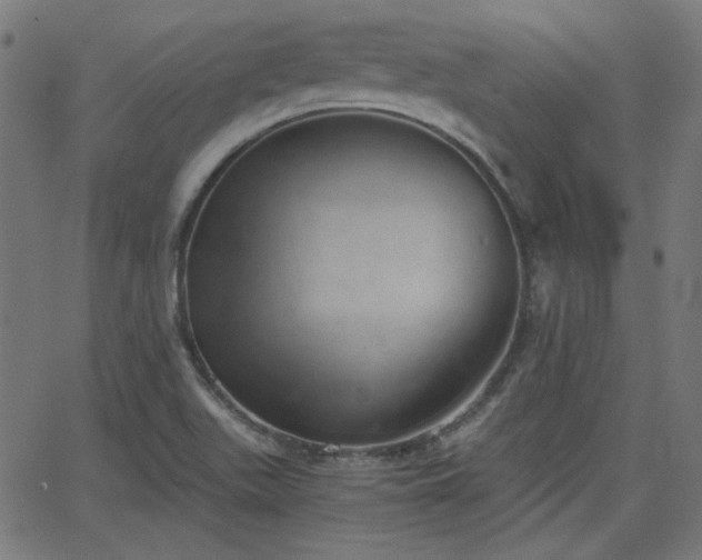 X0000068751511200605010923