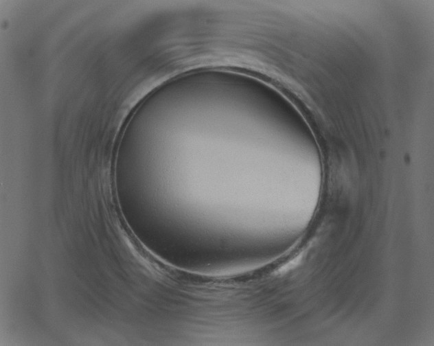 X0000068751513200605010923