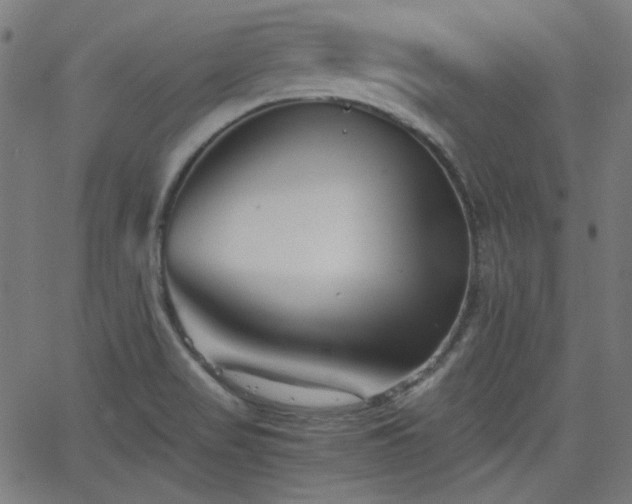 X0000068751517200605010923
