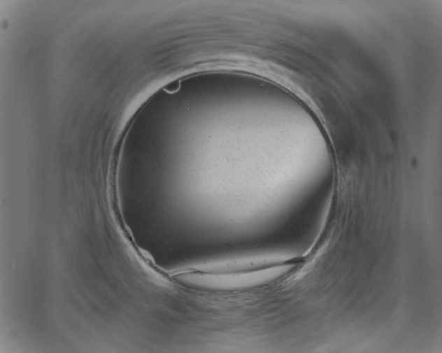 X0000068751533200605010923