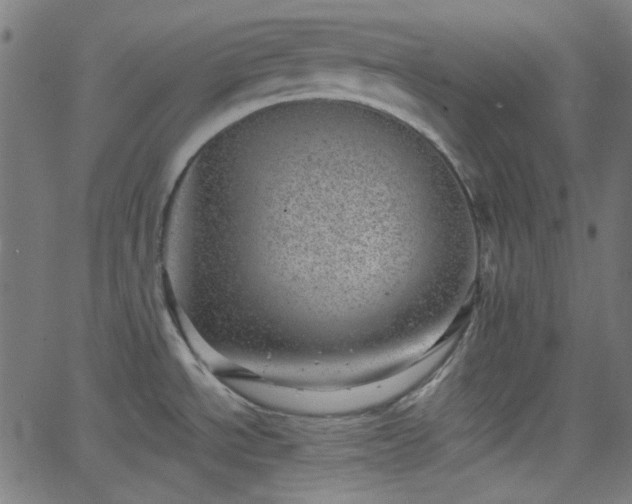 X0000068751534200605010923