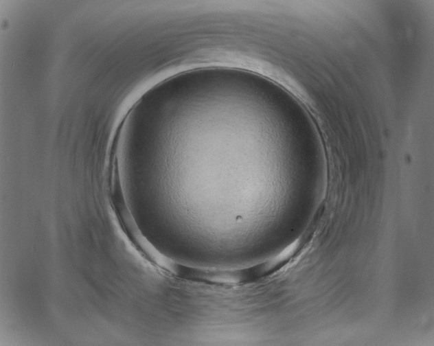 X0000068751536200605010923
