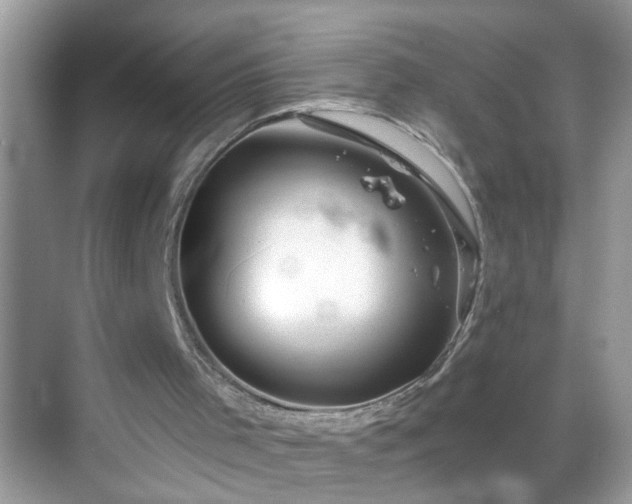 X0000068750001200605051552